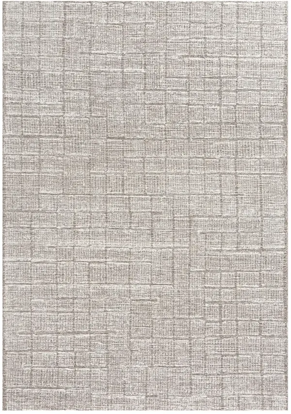 Taylor TAY874 BN 7'9x9'9