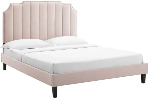 Modway - Colette King Performance Velvet Platform Bed