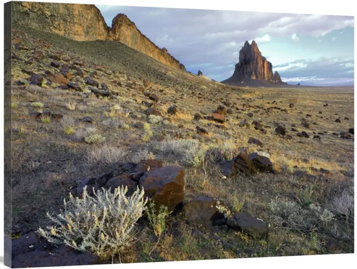 Shiprock, the basalt core of an extinct volcano, New Mexico-Canvas Art-40x30