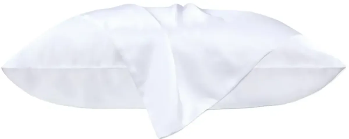 MOMMESILK 22 Momme Silk Pillowcases - Zippered