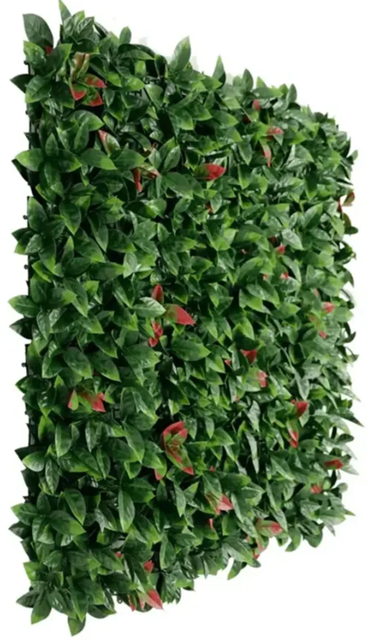 Artificial Photinia Hedge Panel Wall 40" x 40" 11SQ FT Commercial Grade UV Resistant