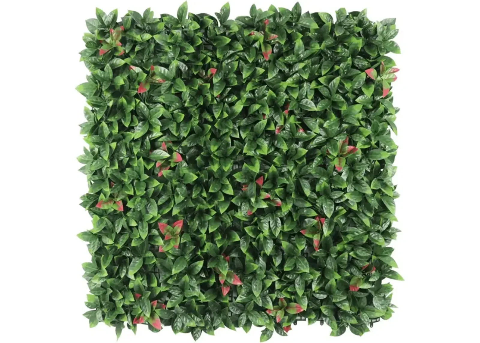 Artificial Photinia Hedge Panel Wall 40" x 40" 11SQ FT Commercial Grade UV Resistant