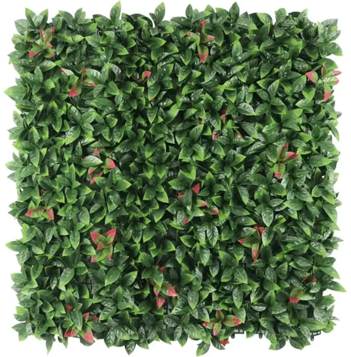 Artificial Photinia Hedge Panel Wall 40" x 40" 11SQ FT Commercial Grade UV Resistant