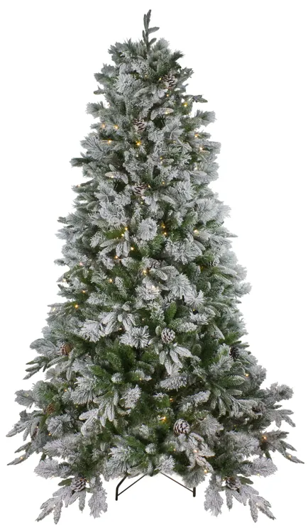 6.5' Pre-Lit LED Full Mixed Rosemary Emerald Angel Pine Artificial Christmas Tree - Clear Lights