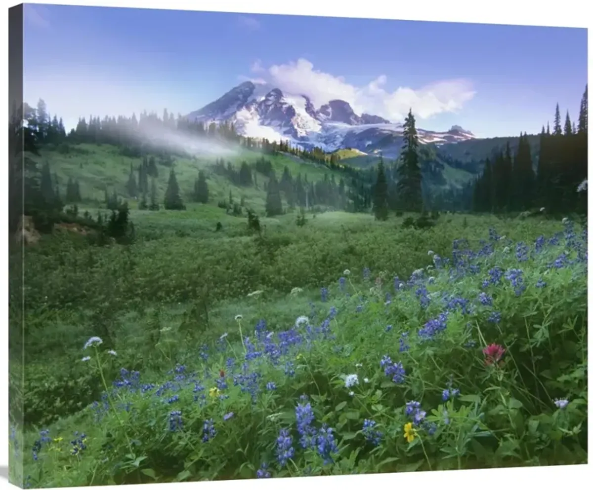 Incoming fog on Mount Rainier, Mount Rainier National Park, Washington-Canvas Art-36x29.88