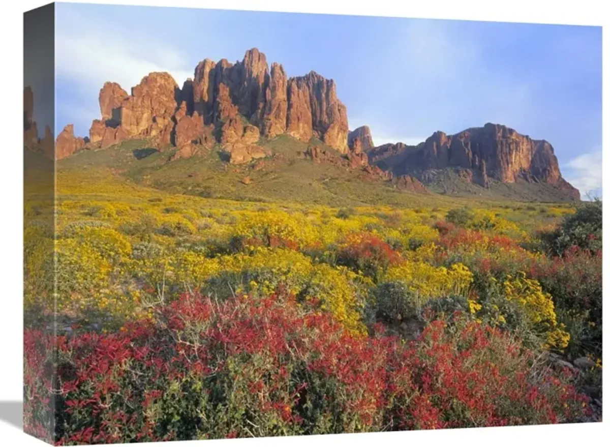 Chuparosa and Brittlebush Superstition Mountains, Arizona-Canvas Art-16x12