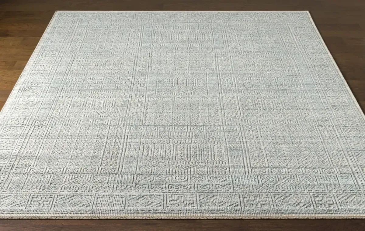 Nobility NBI-2300 4' x 6' Gray Rug