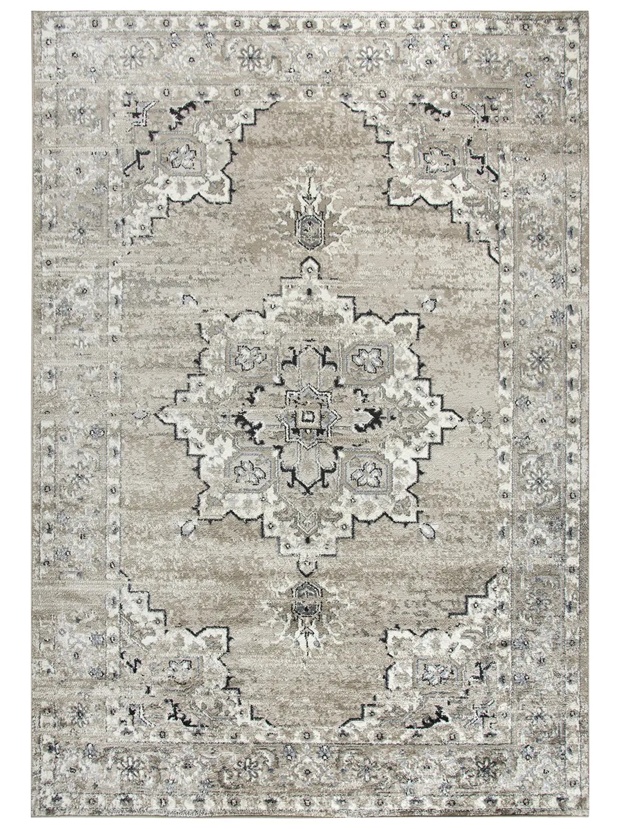 Encore EN7351 8' x 10' Rug