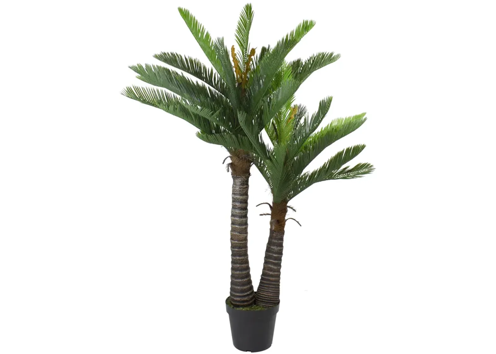 5' Potted Two Tone Green Cycas Artificial Floor Plant