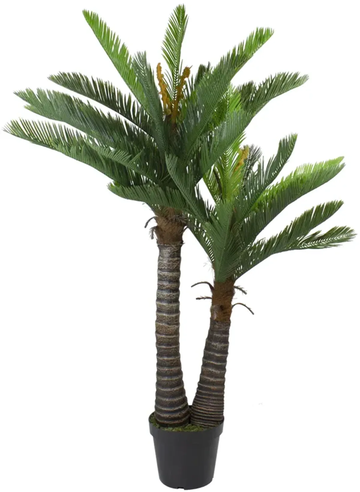 5' Potted Two Tone Green Cycas Artificial Floor Plant