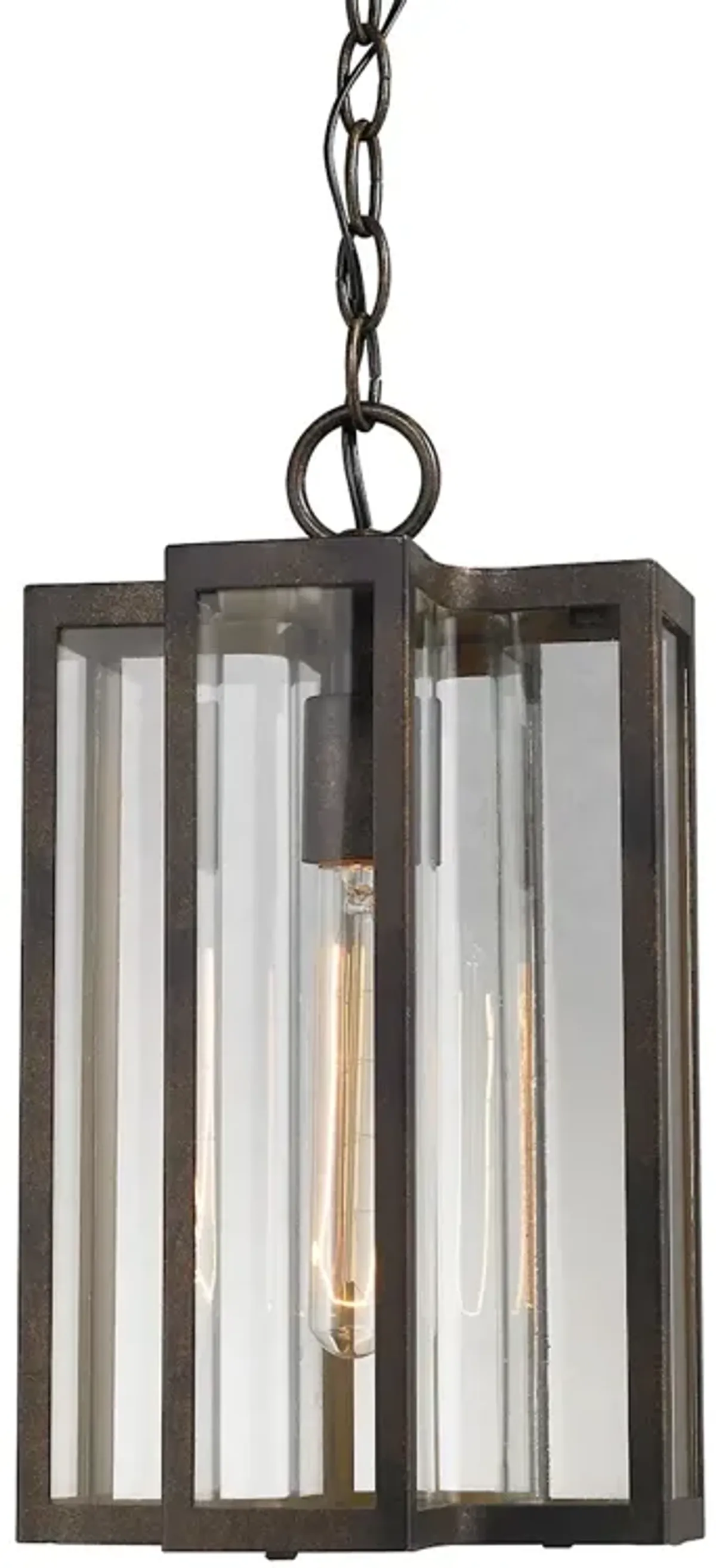 Bianca 1-Light Outdoor Pendant