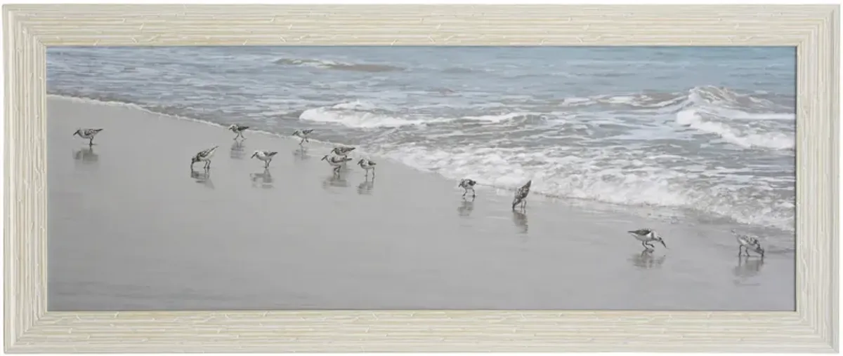 Shore Birds