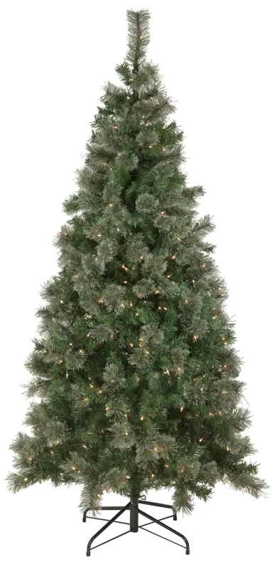 6.5' Pre-Lit Oregon Cashmere Pine Artificial Christmas Tree  Clear Lights