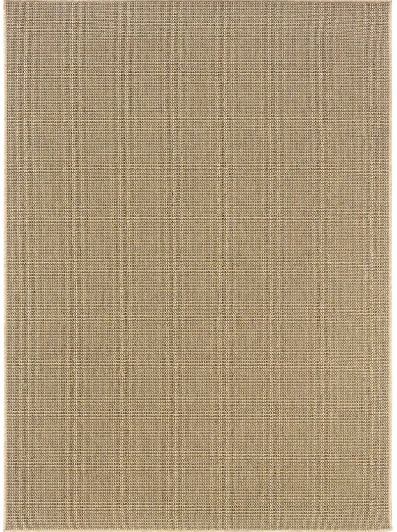 Karavia 2'5" x 4'5" Sand Rug