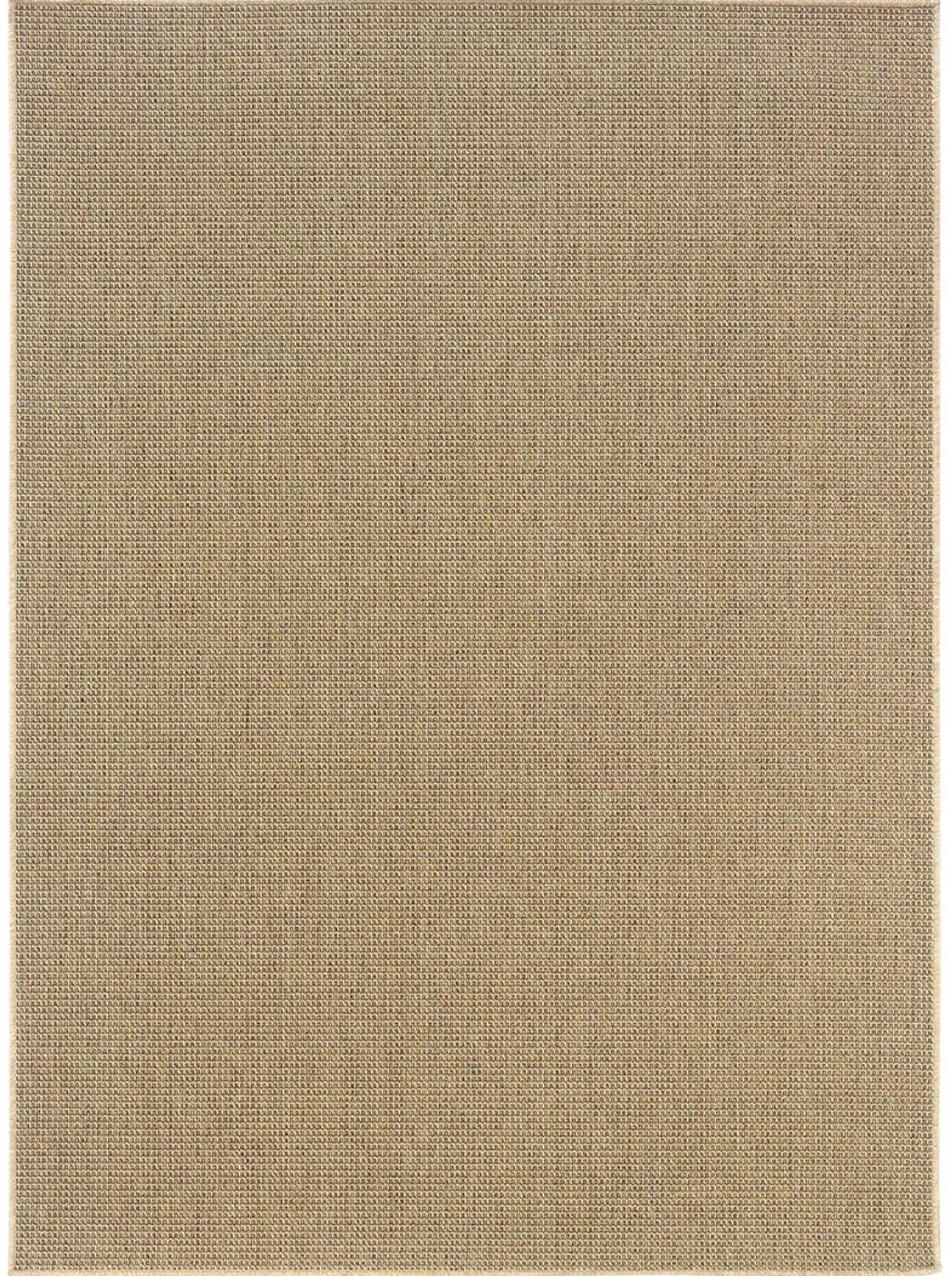 Karavia 2'5" x 4'5" Sand Rug