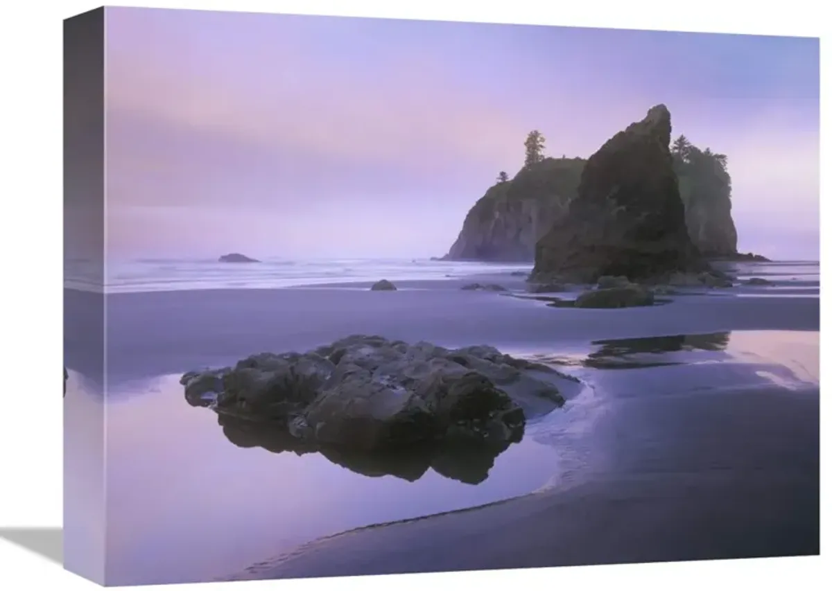 Ruby Beach with seastacks and boulders, Olympic National Park, Washington-Canvas Art-16x12