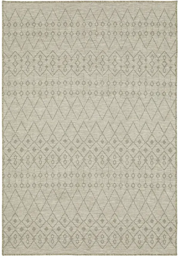 Tortuga 3'3" x 5' Beige Rug