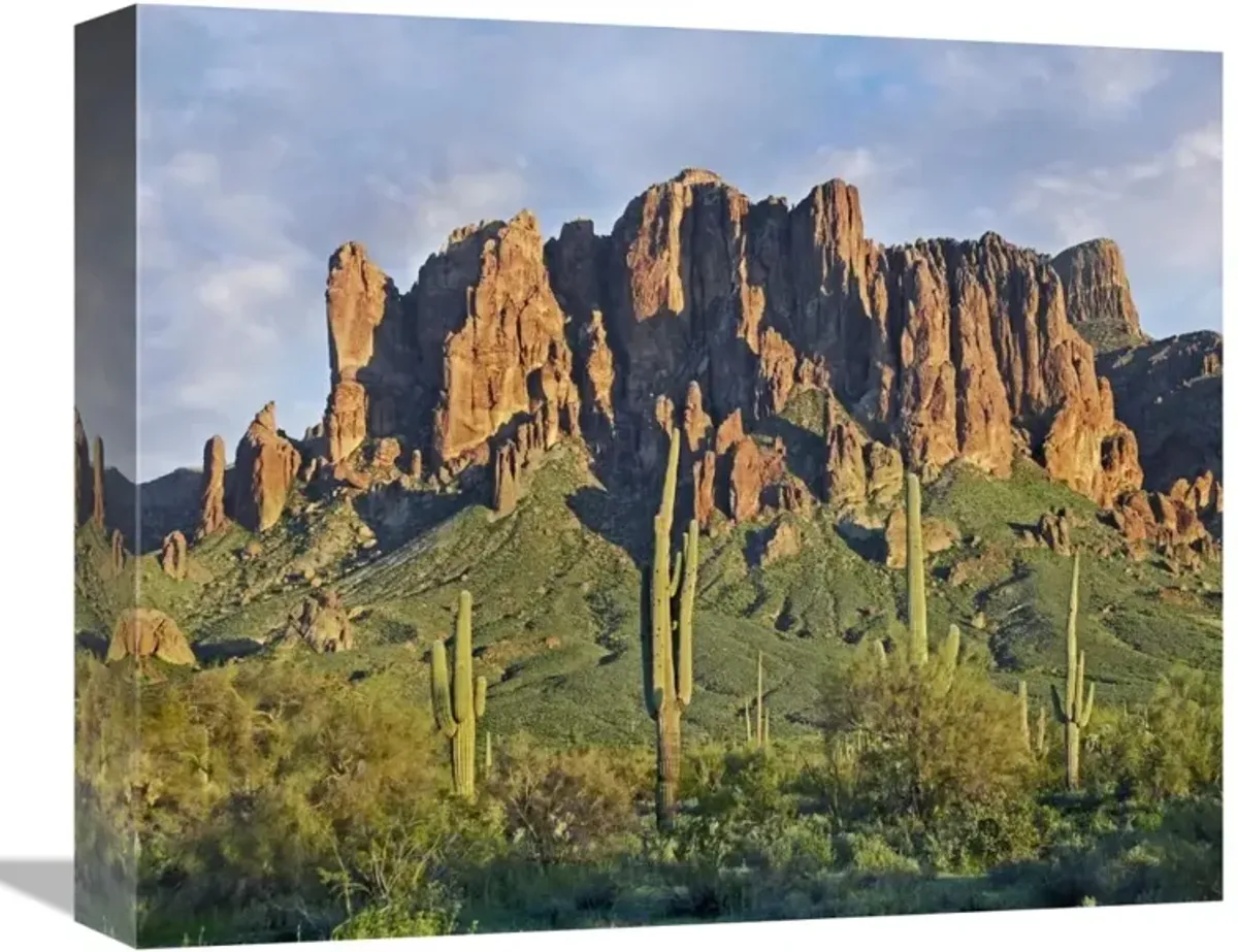 Saguaro cacti and Superstition Mountains, Lost Dutchman State Park, Arizona-Canvas Art-16x13.28