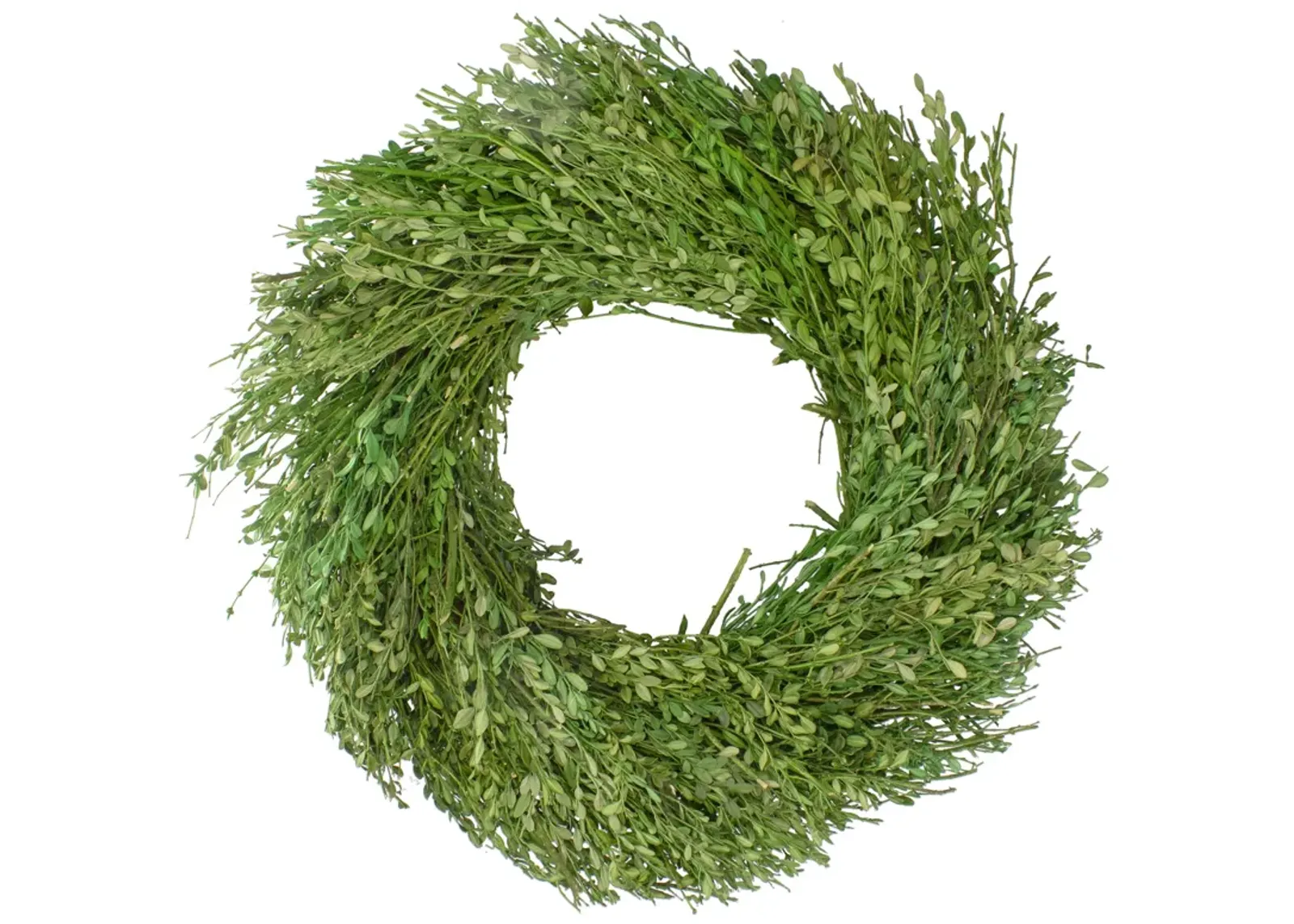 Green Foliage Artificial Spring Wreath  20-Inch