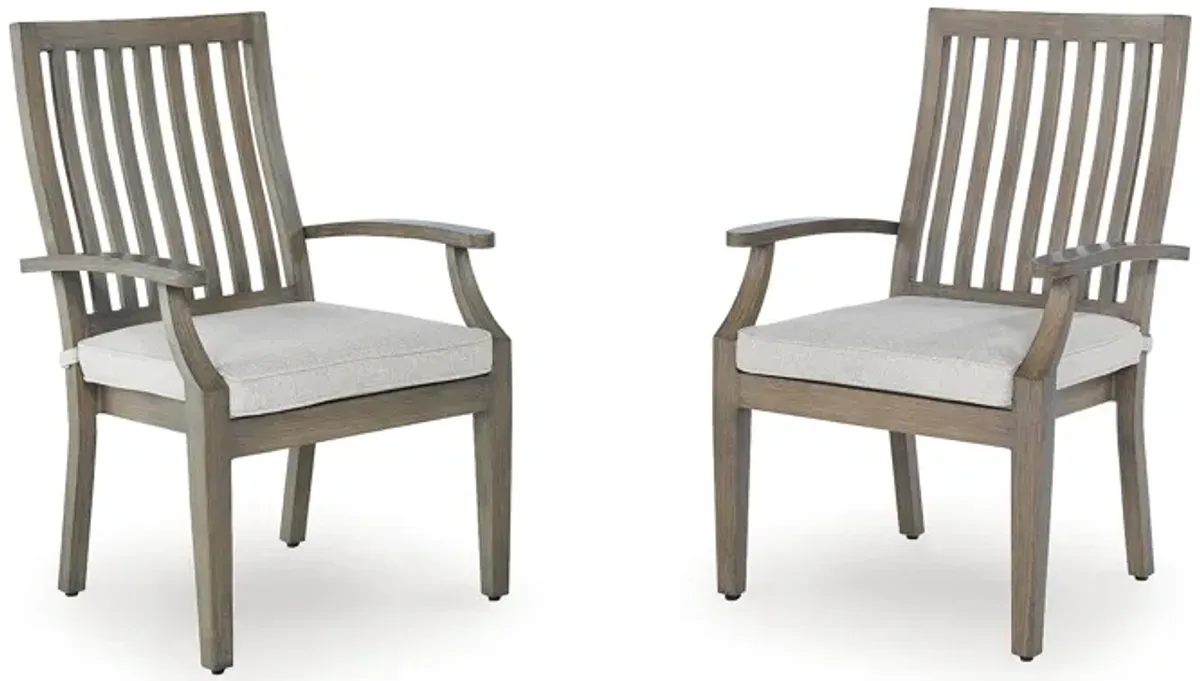 Rainier Ranch Outdoor Arm Chair with Cushion (Set of 2)