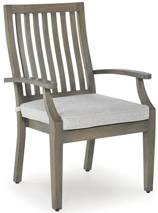 Rainier Ranch Outdoor Arm Chair with Cushion (Set of 2)
