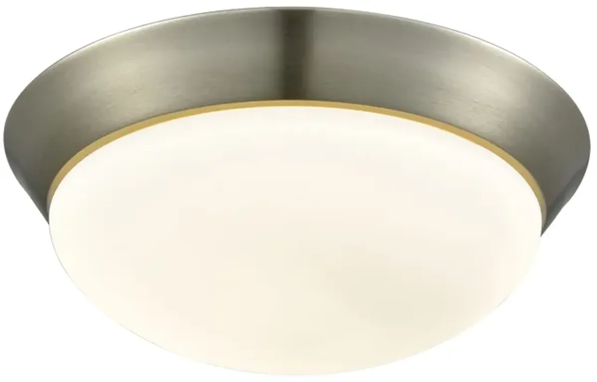 Contours 1-Light Flush Mount