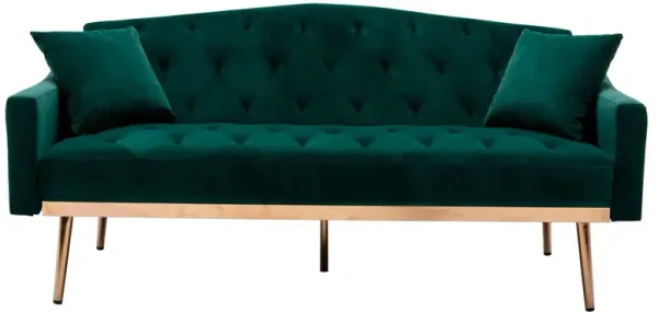 Velvet Sofa with Stainless Feet - Accent Loveseat Sofa