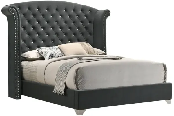 Giya Wingback King Bed, Tufted Headboard, Nailed Gray Velvet Upholstery - Benzara