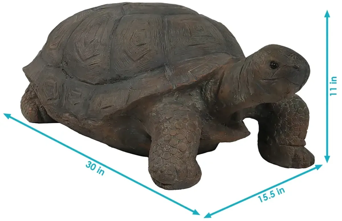 Sunnydaze Todd the Tortoise Indoor/Outdoor Statue