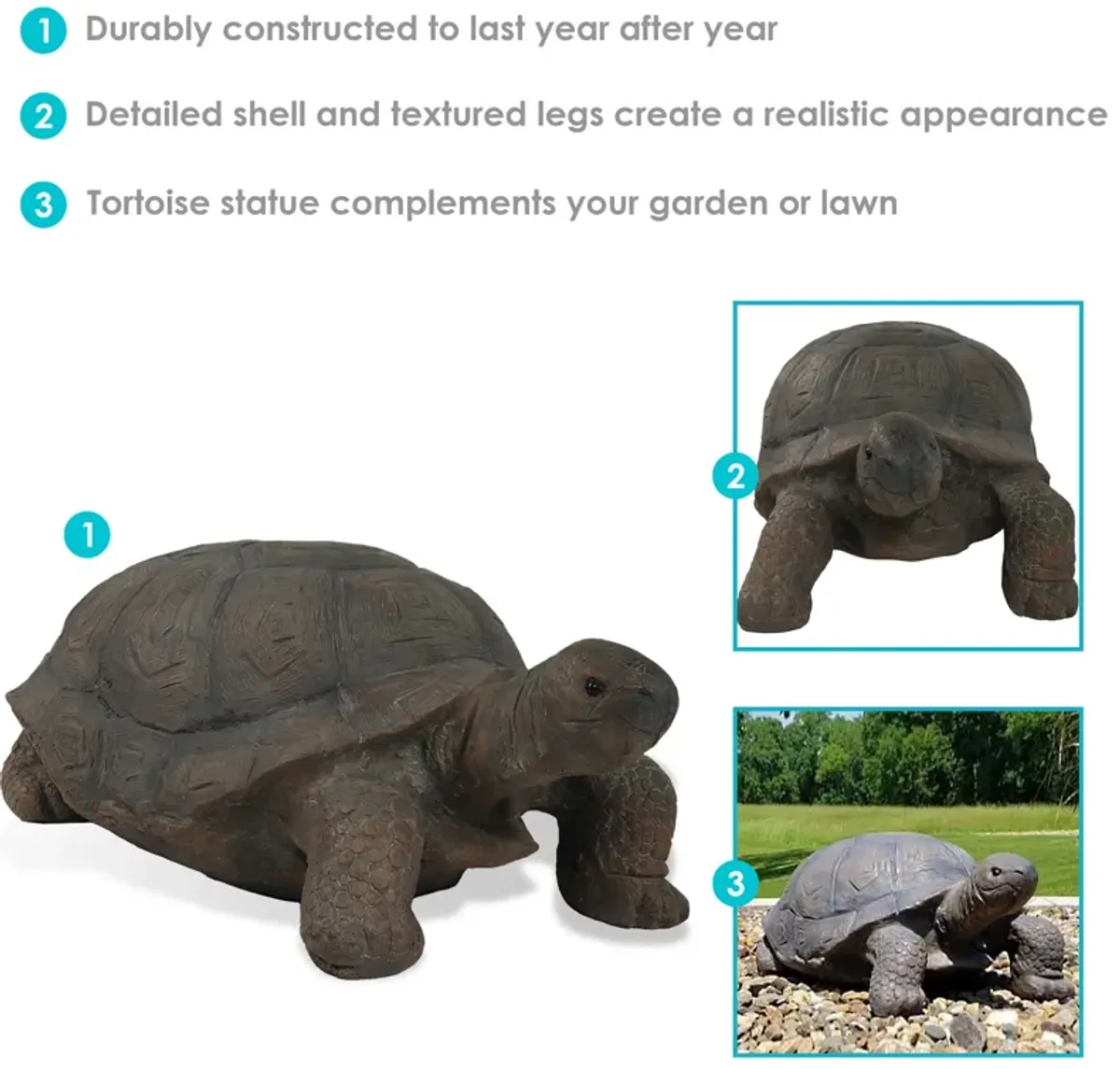 Sunnydaze Todd the Tortoise Indoor/Outdoor Statue