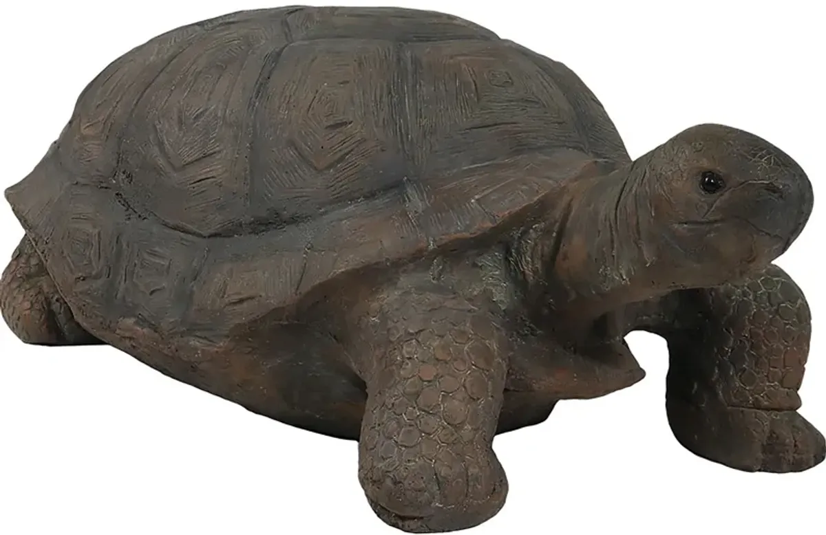 Sunnydaze Todd the Tortoise Indoor/Outdoor Statue