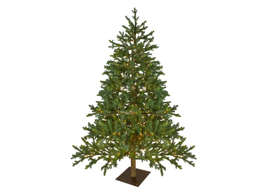 6.5' Pre-Lit Full North Pine Artificial Christmas Tree - Clear LED Lights