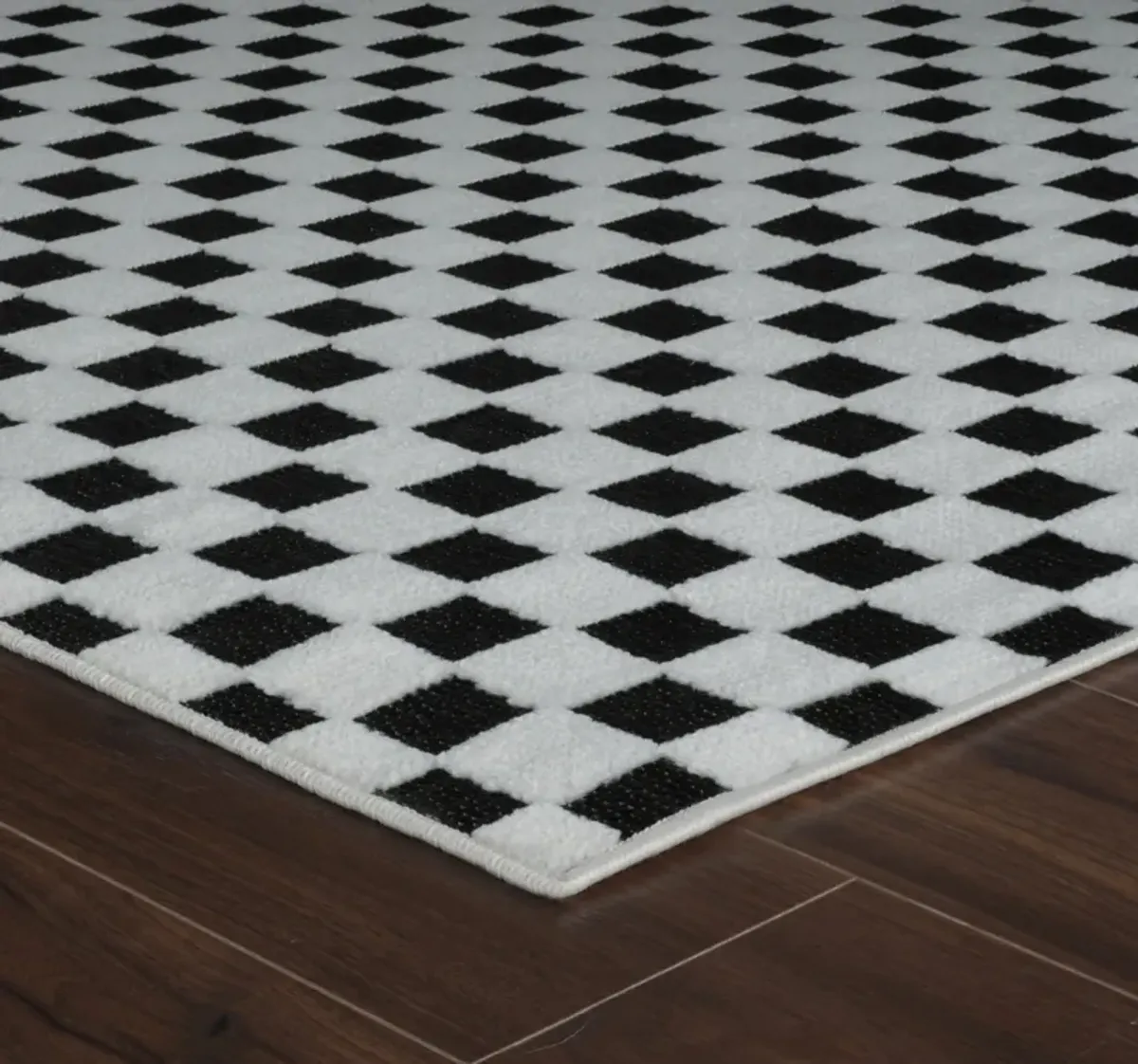 Maise Checkered Modern Black White Indoor Outdoor Area Rug