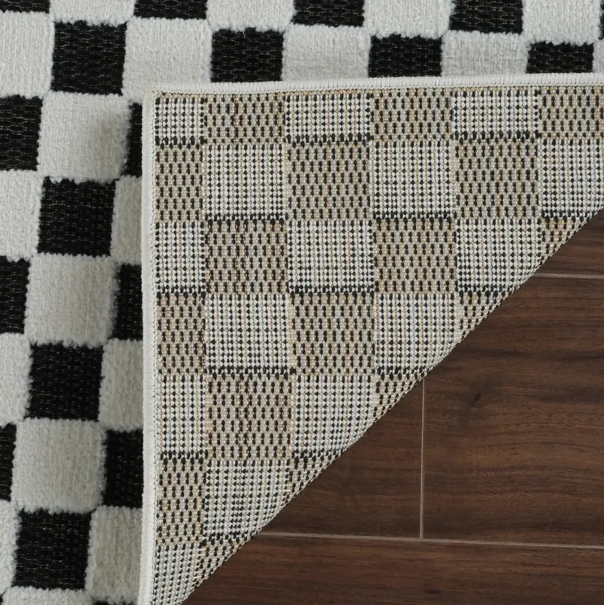 Maise Checkered Modern Black White Indoor Outdoor Area Rug