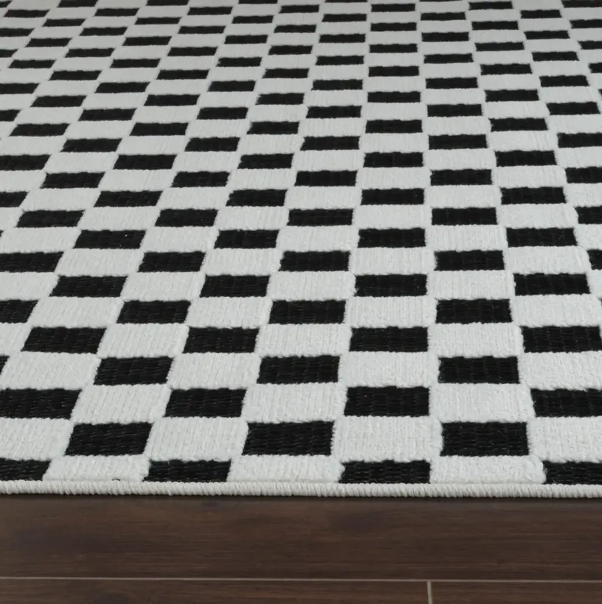 Maise Checkered Modern Black White Indoor Outdoor Area Rug