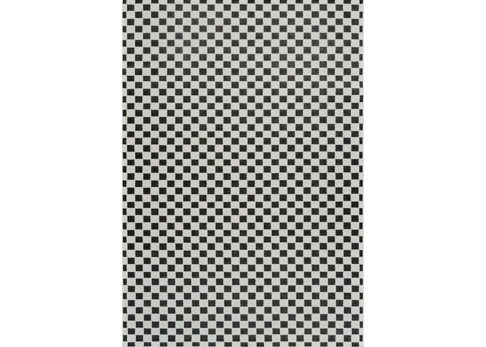 Maise Checkered Modern Black White Indoor Outdoor Area Rug