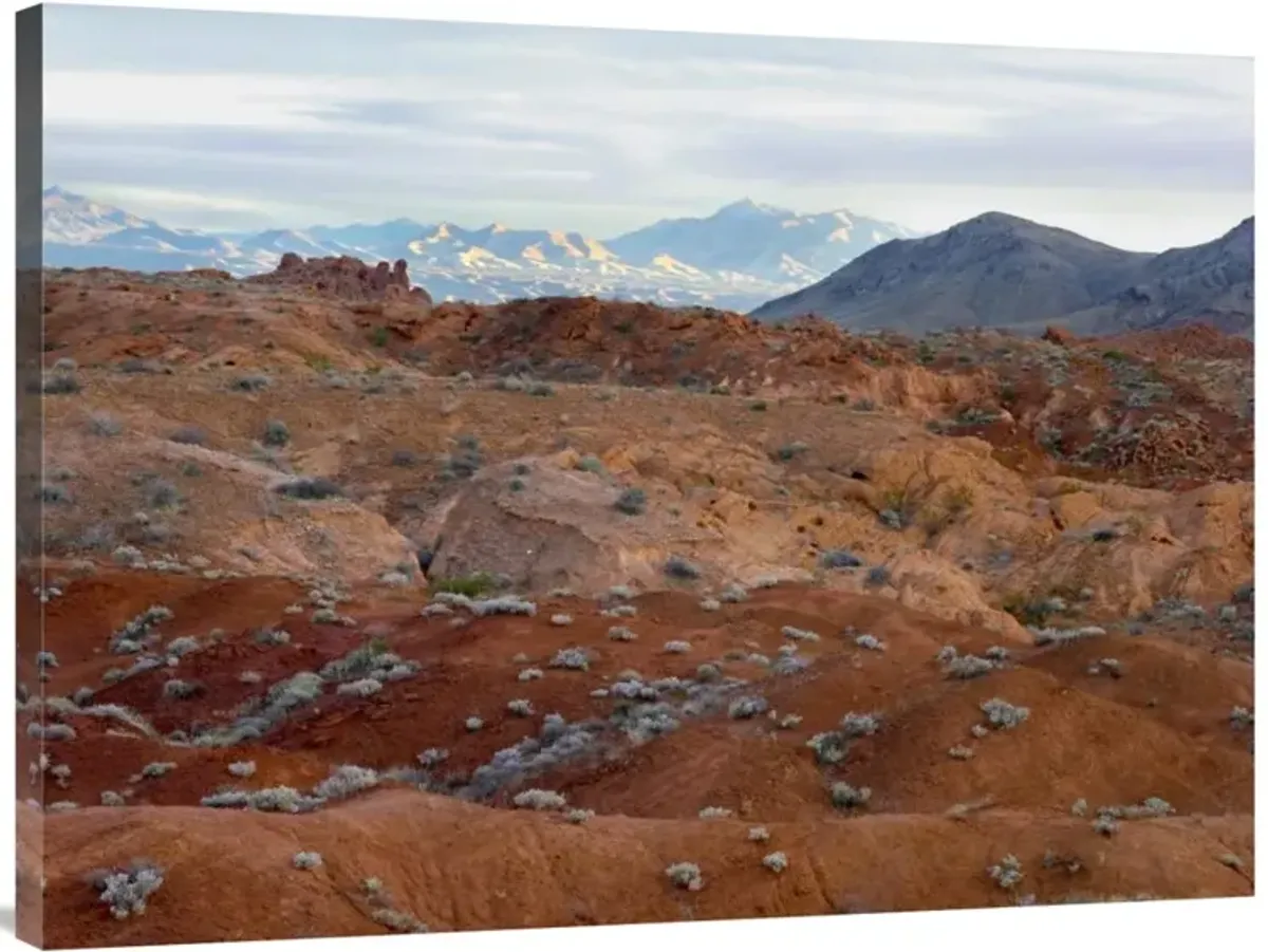 Black Mountains surrounding Valley of Fire State Park, Nevada-Canvas Art-40x30