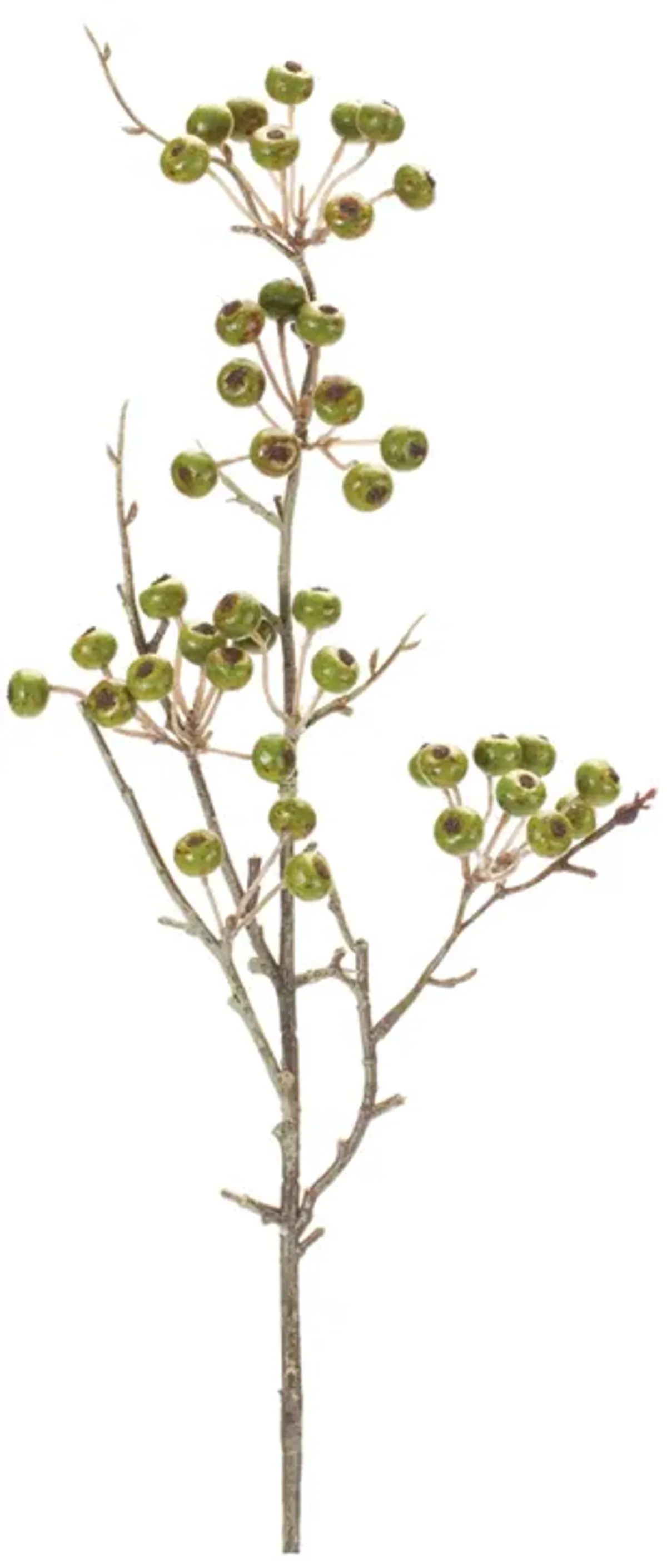 Winter Berry Pod Spray (Set of 6)