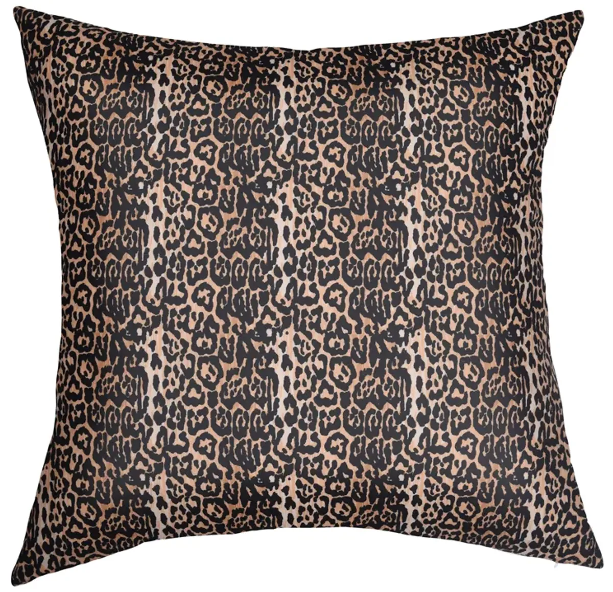 Cushion W/Framed Printing I