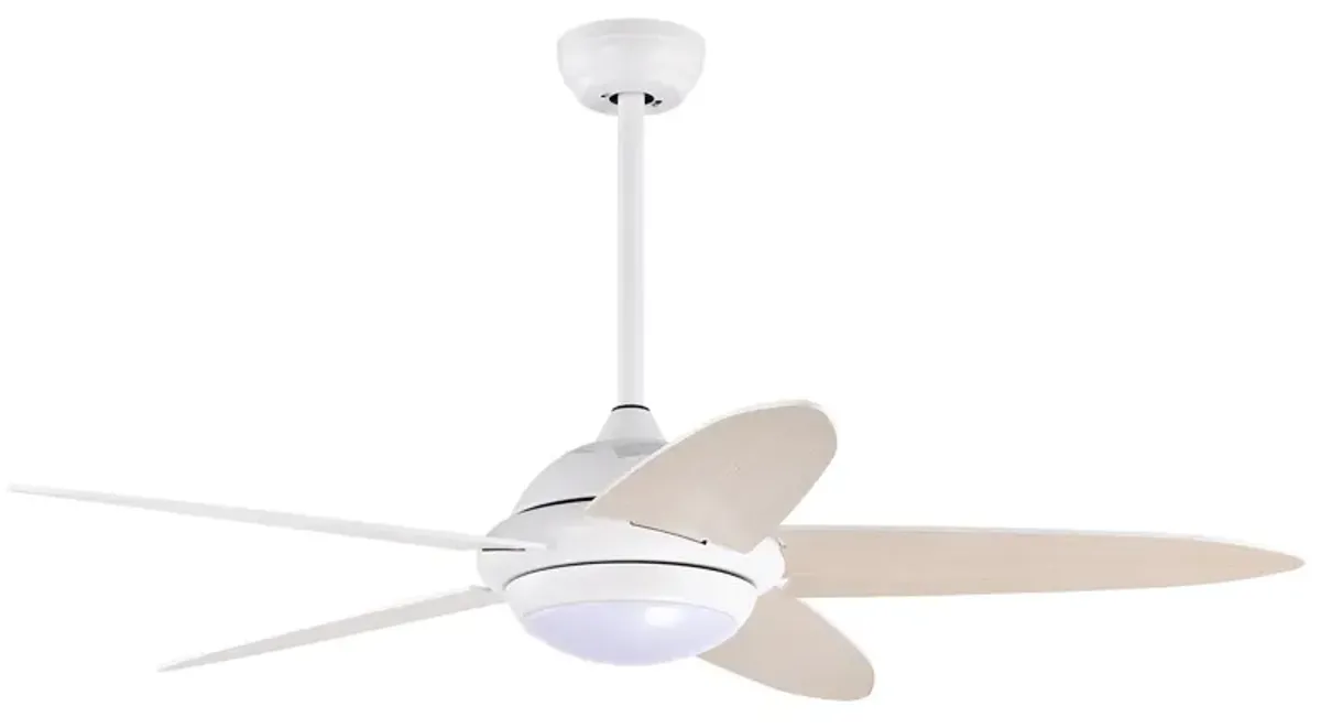 Ceiling Fan with Lights and 3 Color Modes for Adjustable Lighting