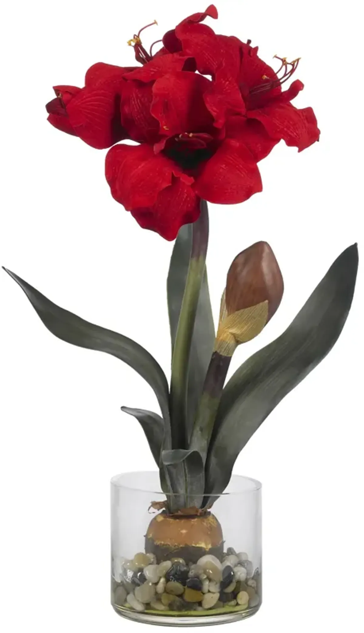 Hivvago Amaryllis w/Round Vase