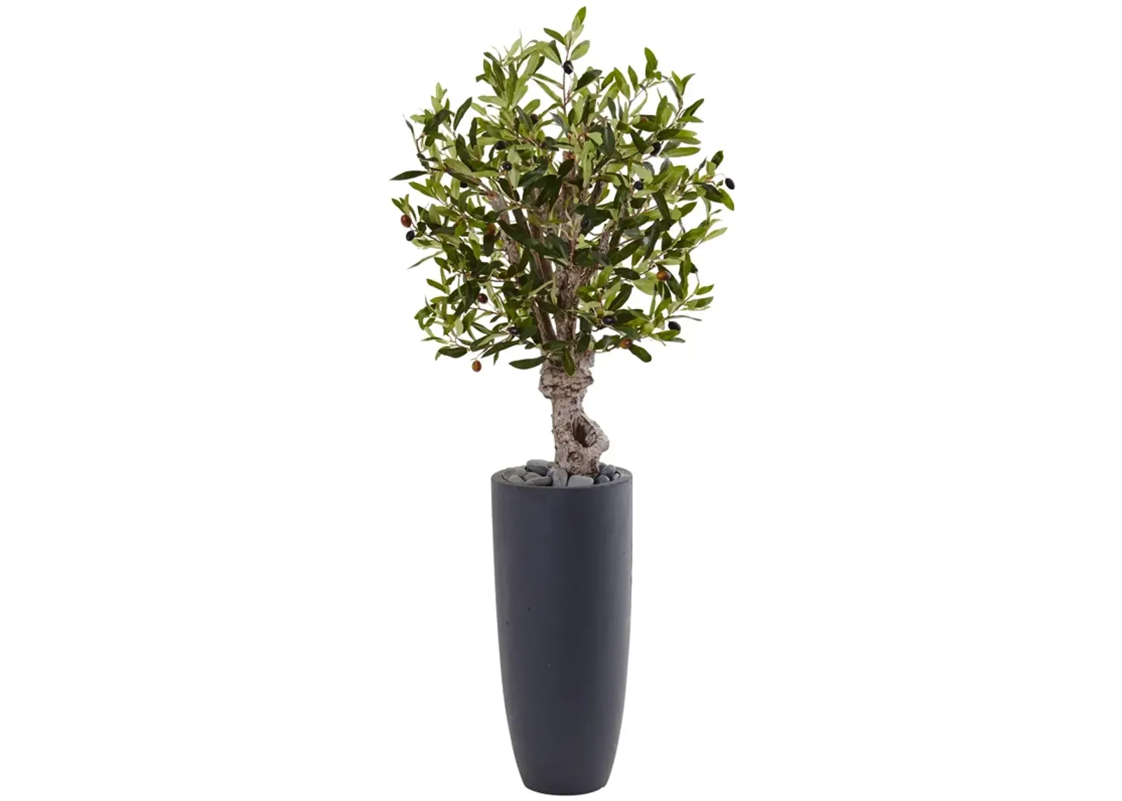 HomPlanti 3.5 Feet Olive Tree in Gray Cylinder Planter