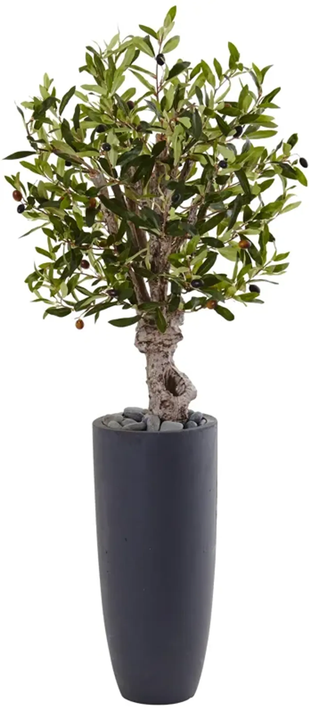 HomPlanti 3.5 Feet Olive Tree in Gray Cylinder Planter