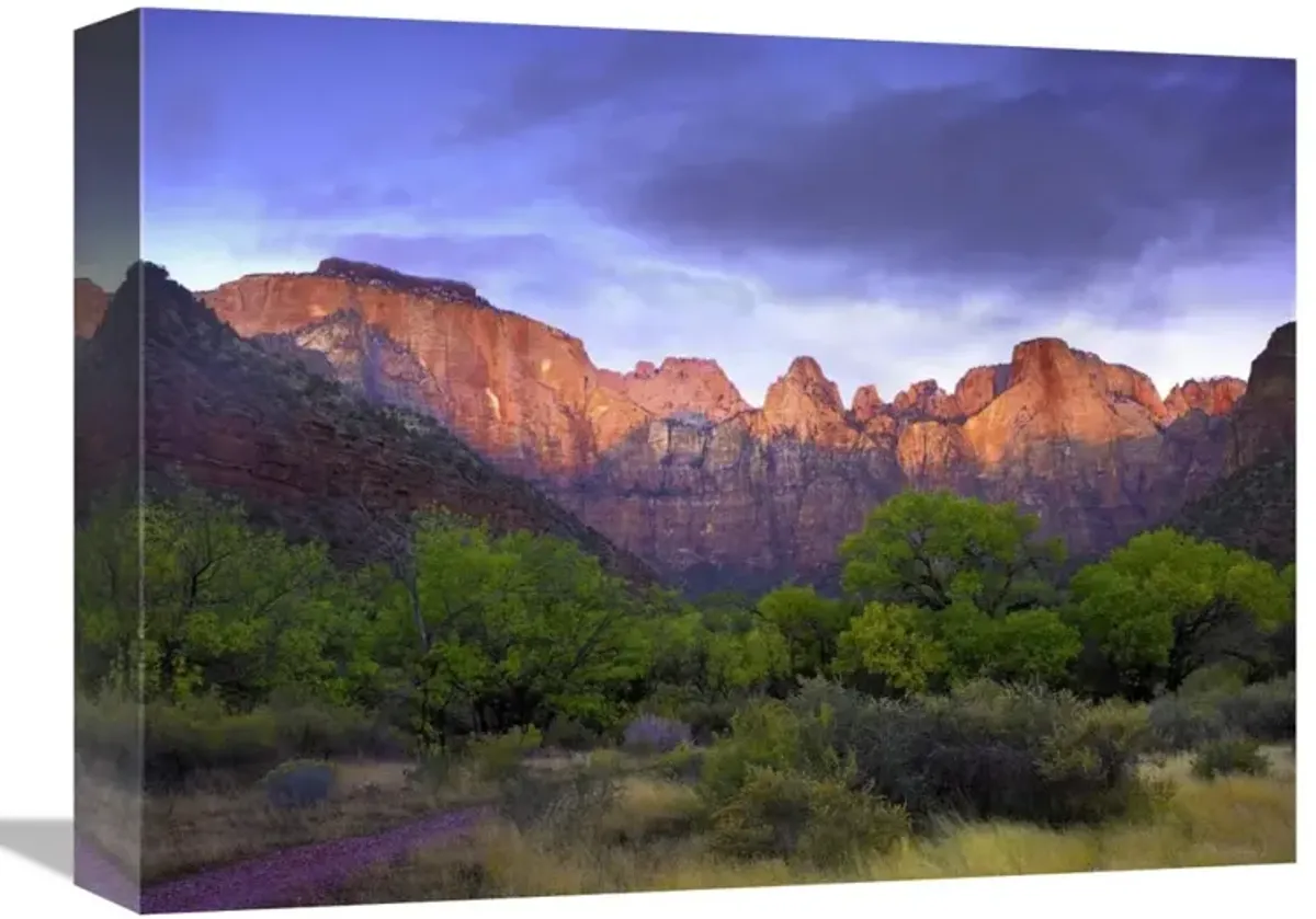 Towers of the Virgin, Zion National Park, Utah-Canvas Art-16x12