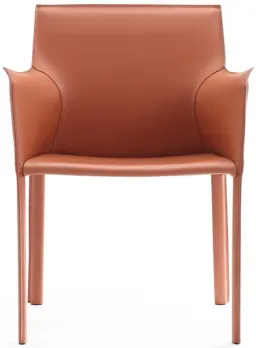 Burnt Orange color