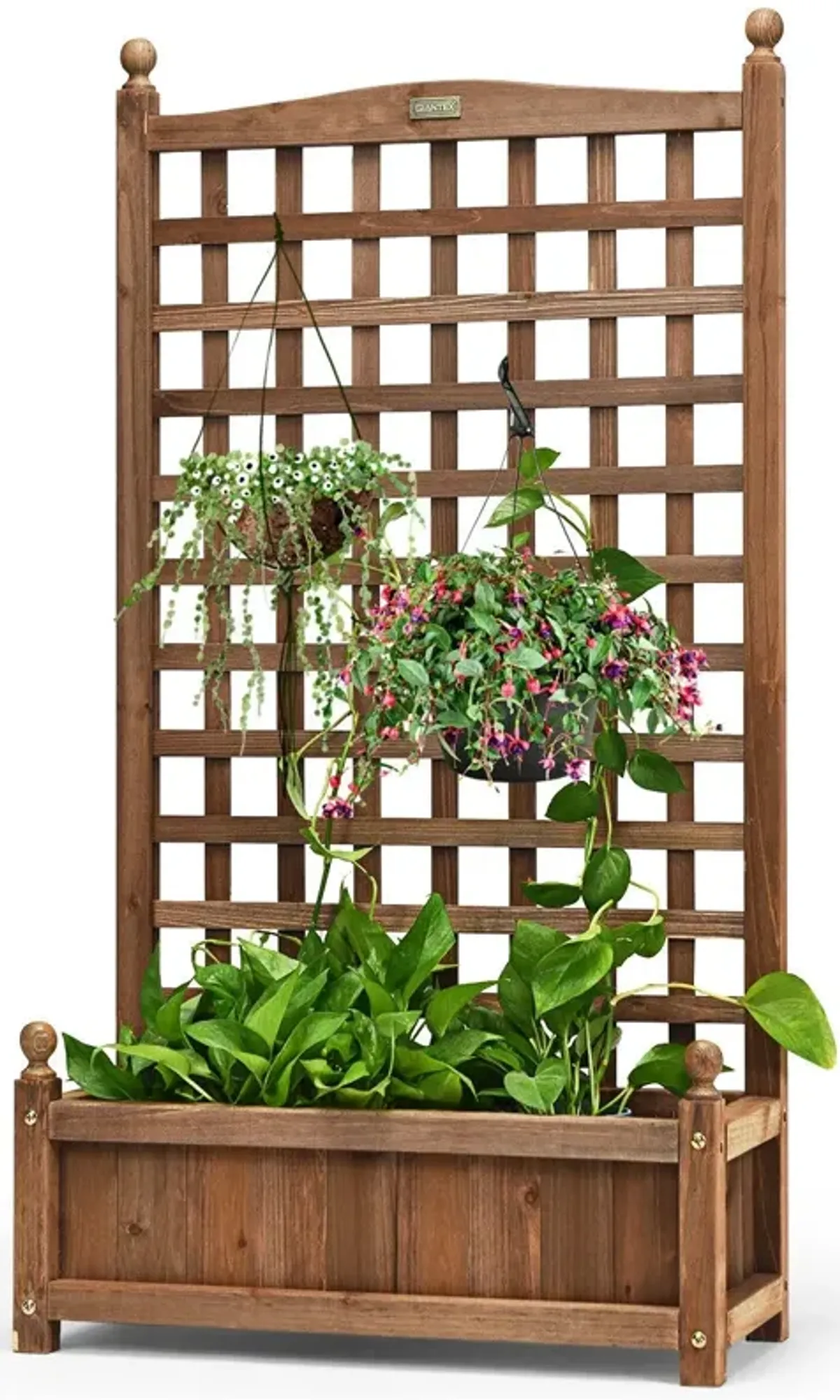 Solid Free Standing Wood Planter Box with Trellis for Garden