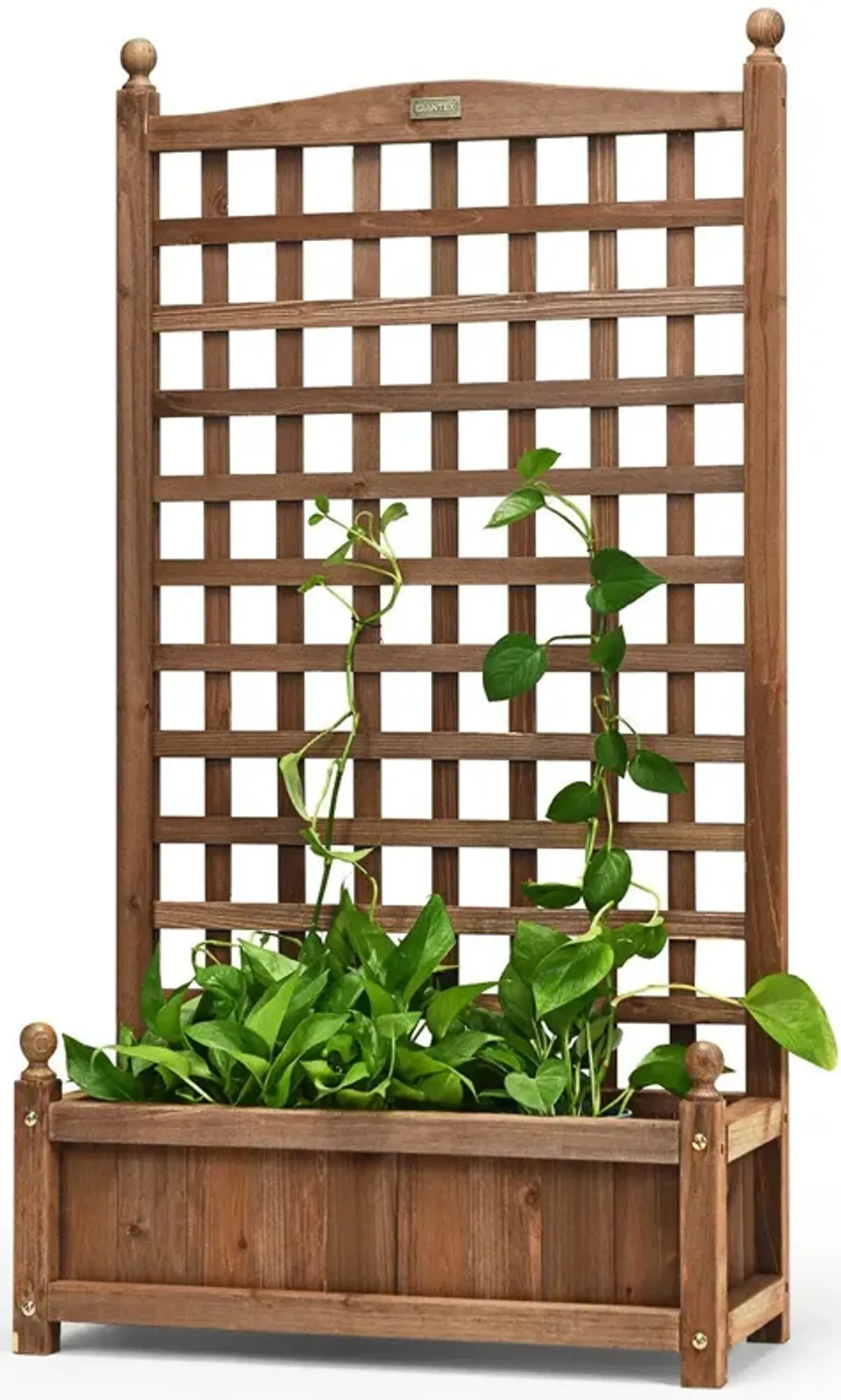 Solid Free Standing Wood Planter Box with Trellis for Garden