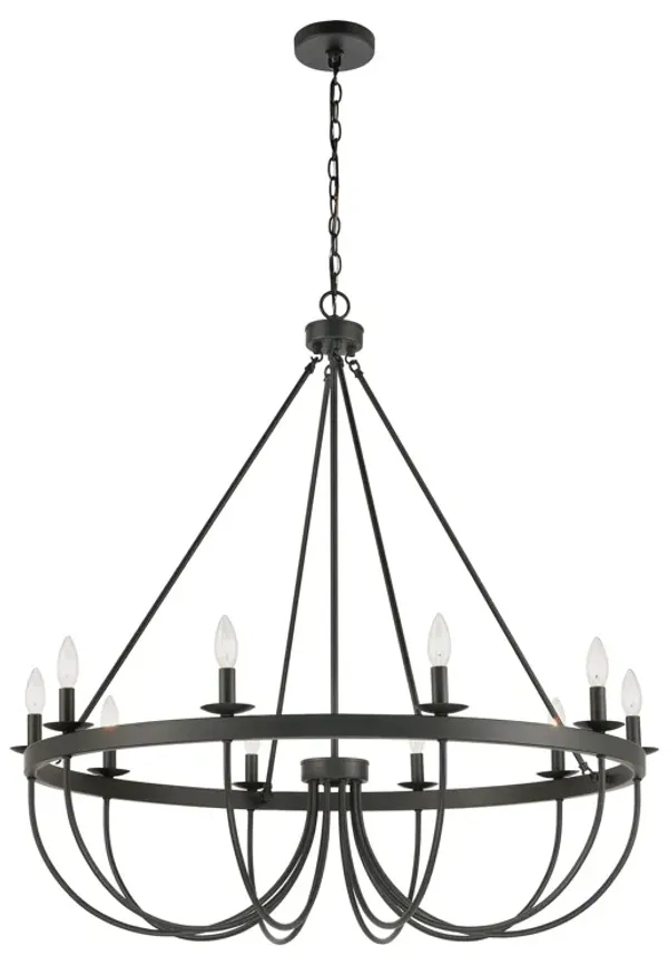 Williamson 38" Wide 10 Light Chandelier
