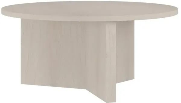 Hudson&Canal Anders 36 Wide Round Coffee Table in Alder White