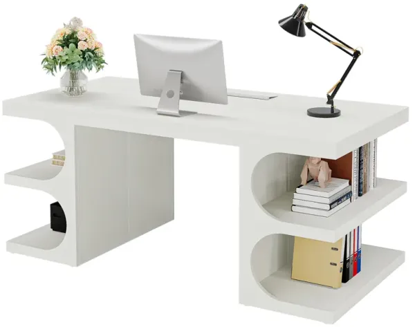 Large Computer Desk with Storage Shelves, 62" Executive Office Desk, Modern Wood Writing Desk Study Table, Workstation Desk Business Furniture for Home Office, Ladder Racks, Storage and Organization